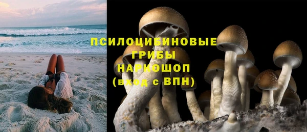 спиды Приозерск
