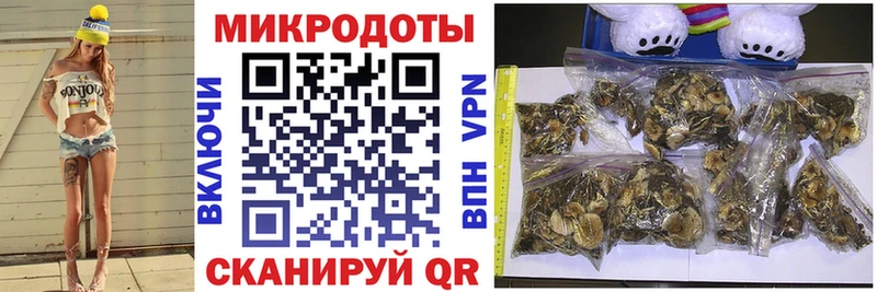 Купить закладки  Севск  Галлюциногенные грибы Psilocybine cubensis 